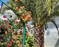 Sea Family Resort & SPA: отзыв от Светлана Маруневич