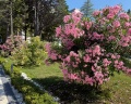 Лучезарный резорт: отзыв от Юлия Бондарева