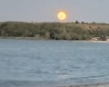 Оазис: отзыв от Нина Горная