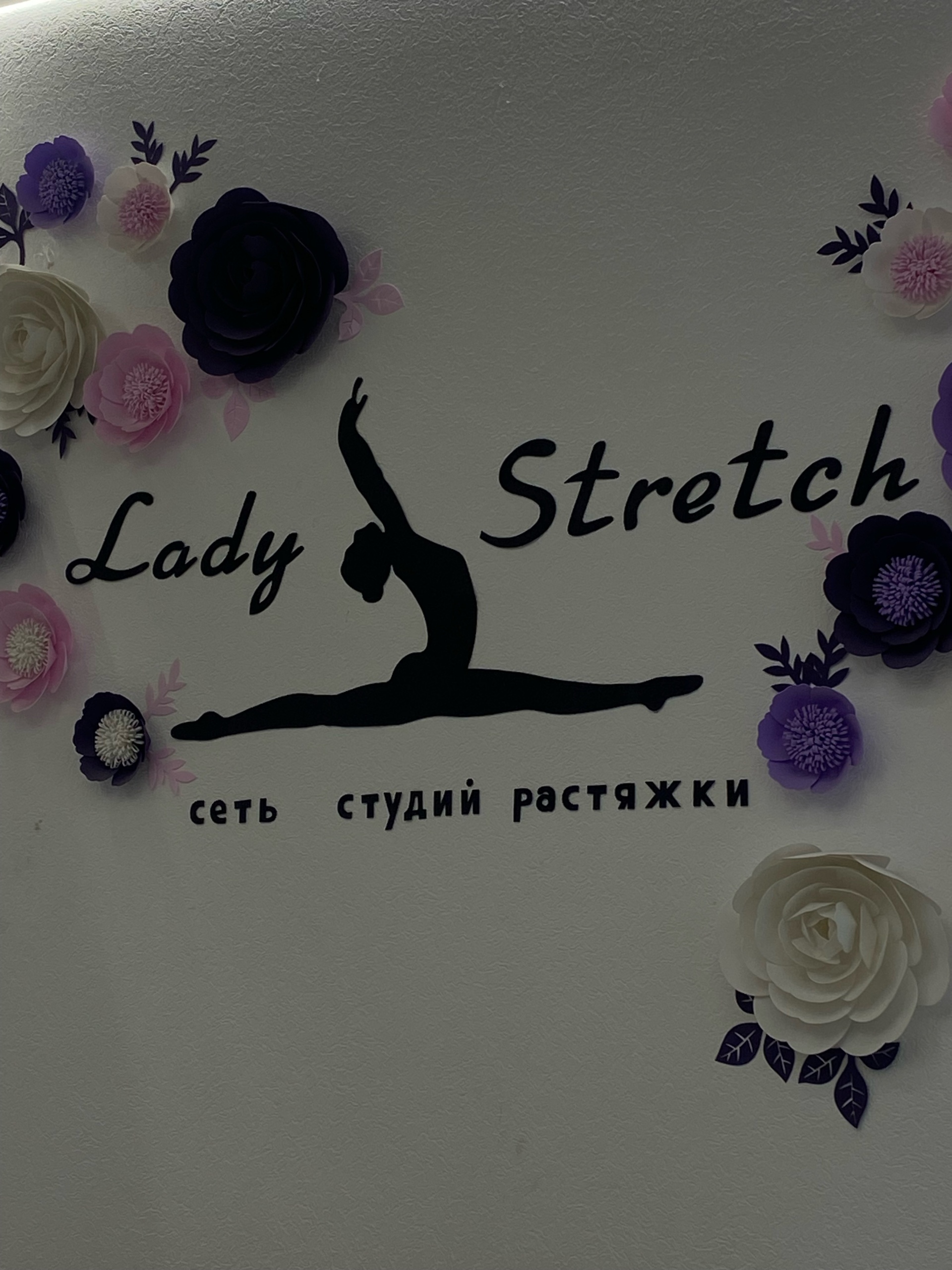 Lady Stretch, студия растяжки, улица Комсомольская, 269, Орел — 2ГИС