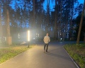 Pioneer Resort Hotel: отзыв от Альберт