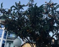 Artroom Sochi: отзыв от Мария Вишневская