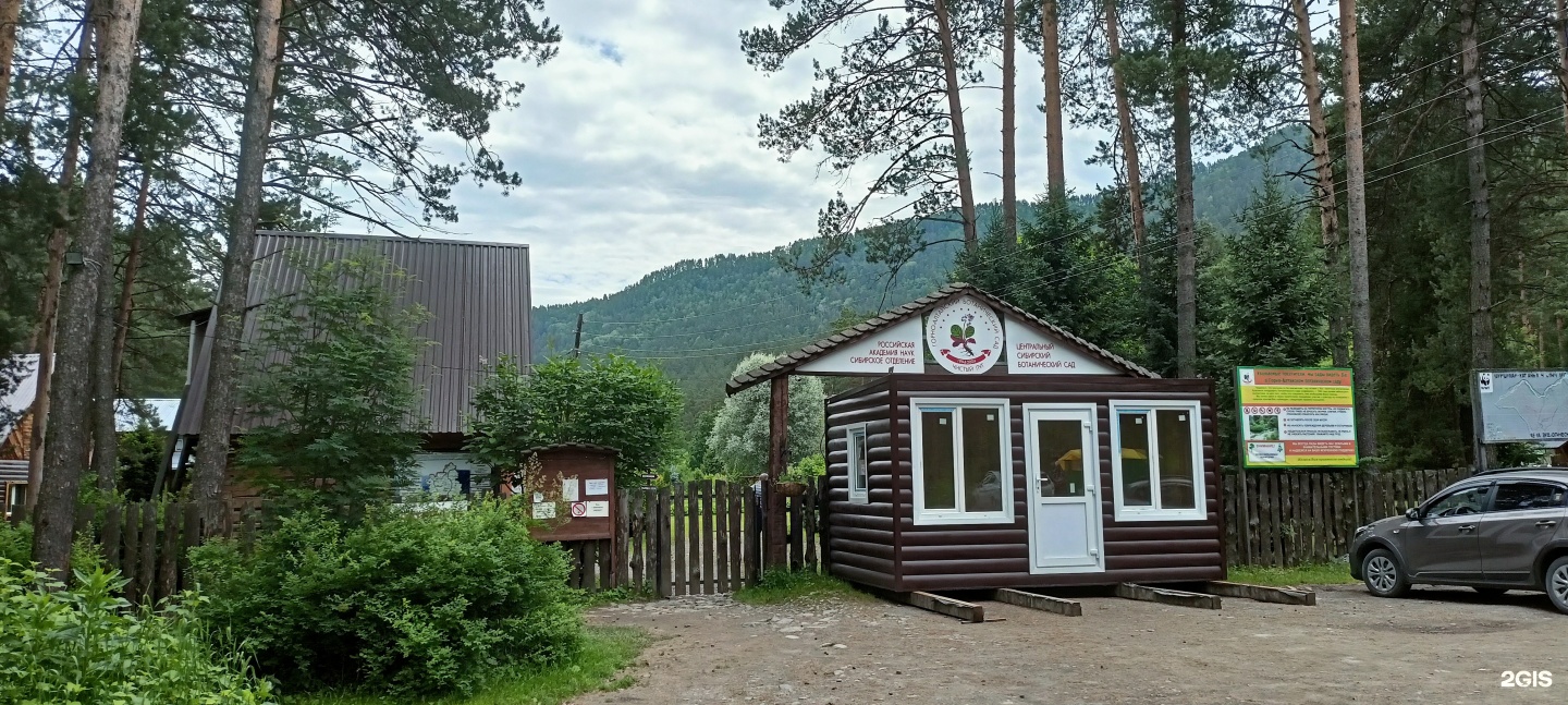 Горно-Алтайский ботанический сад, Урочище Чистый луг, 1а, с. Камлак — 2ГИС