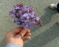 Ладога: отзыв от даша погодина🤍✨