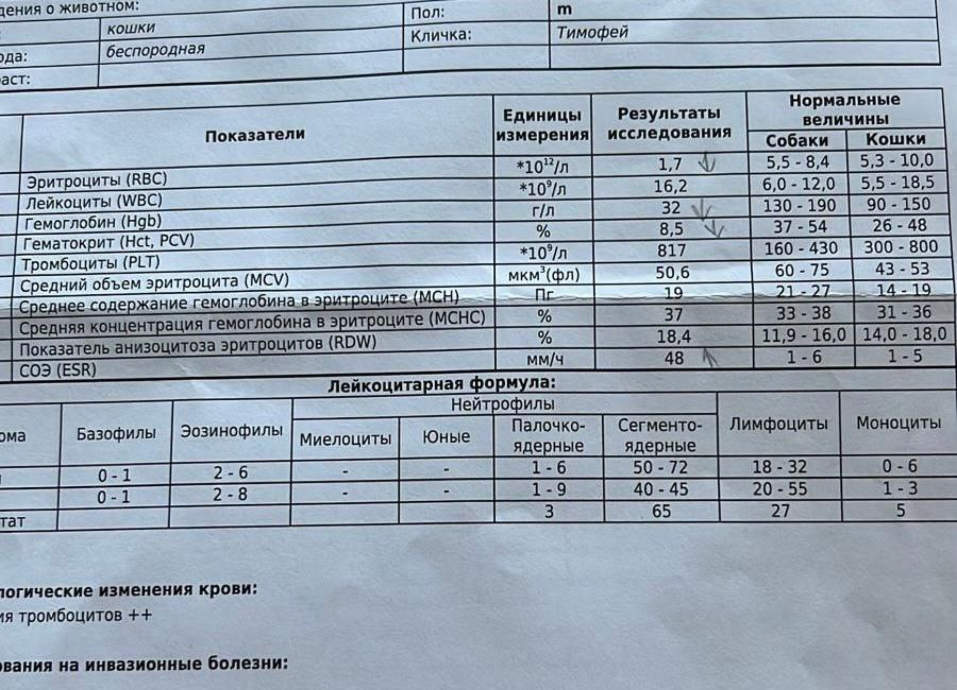 Бутовская ветеринарная лечебница, лаборатория ветеринарно-санитарной  экспертизы, Скобелевская улица, вл46, Москва — 2ГИС