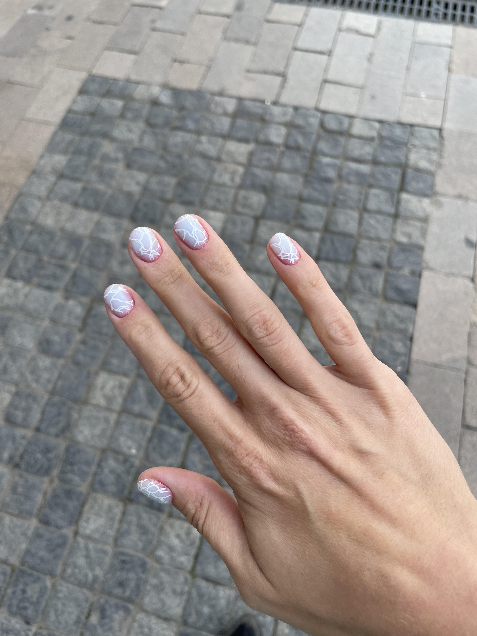 Nails barbaris, школа-студия маникюра, проспект Мира, 79 ст2, Красноярск —  2ГИС