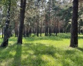 Лайф: отзыв от Галина Попова