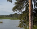 Vyritsa Village: отзыв от Polya Emelina