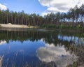 Хвойный берег: отзыв от Юлия Луценко