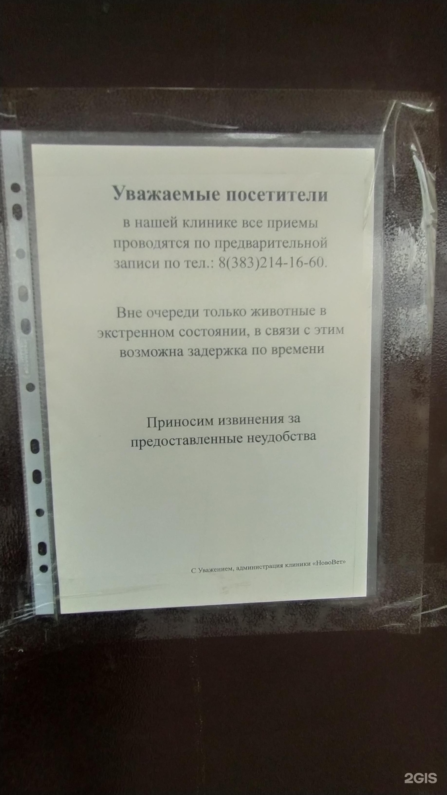 Нововет, ветеринарная клиника, ЖК Новомарусино, Большая, 682, Новосибирск —  2ГИС