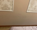 Диоскурия: отзыв от Ольга Бутырина