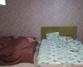 DreamHouse: отзыв от Марина Шарыгина