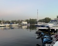 Элит кроус: отзыв от Кирилл Лебедев