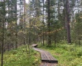 Урочище Сайкол: отзыв от Яна С