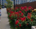 Holiday House: отзыв от Ирина Батрунова