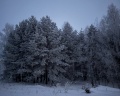 Urman Camp: отзыв от Лиза Лягина