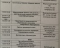 Красная гвоздика: отзыв от Майя М