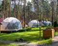 Royal Forest: отзыв от Даниил Никогосян