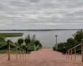 Подсолнух: отзыв от Pavel Vladimirovich