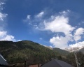 Клевер: отзыв от Инна Изотова