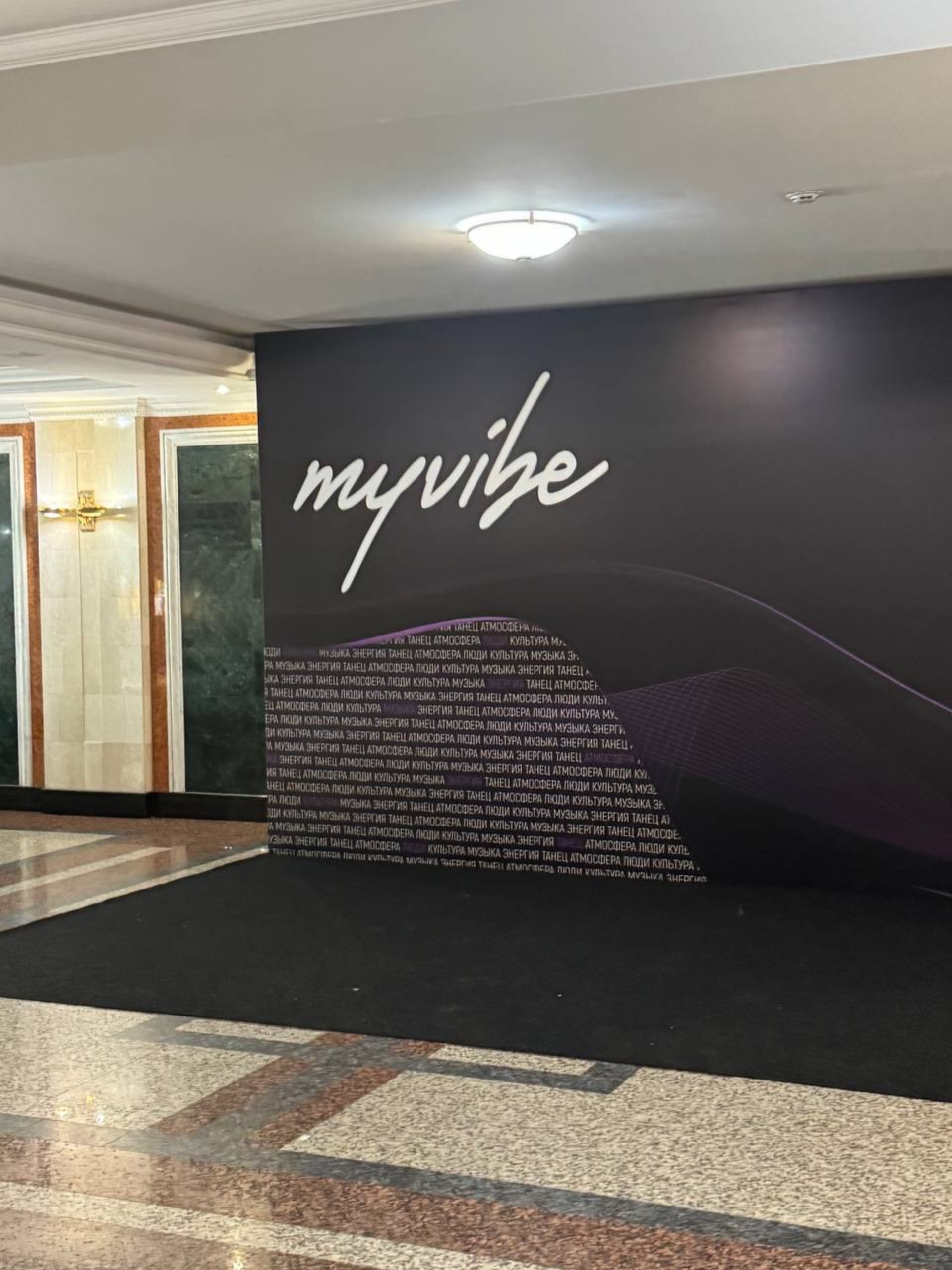 MYVIBE, танцевальная студия, Сакко и Ванцетти, 31/1, Новосибирск — 2ГИС