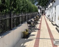 Черный кот: отзыв от Марина Карапунарлы