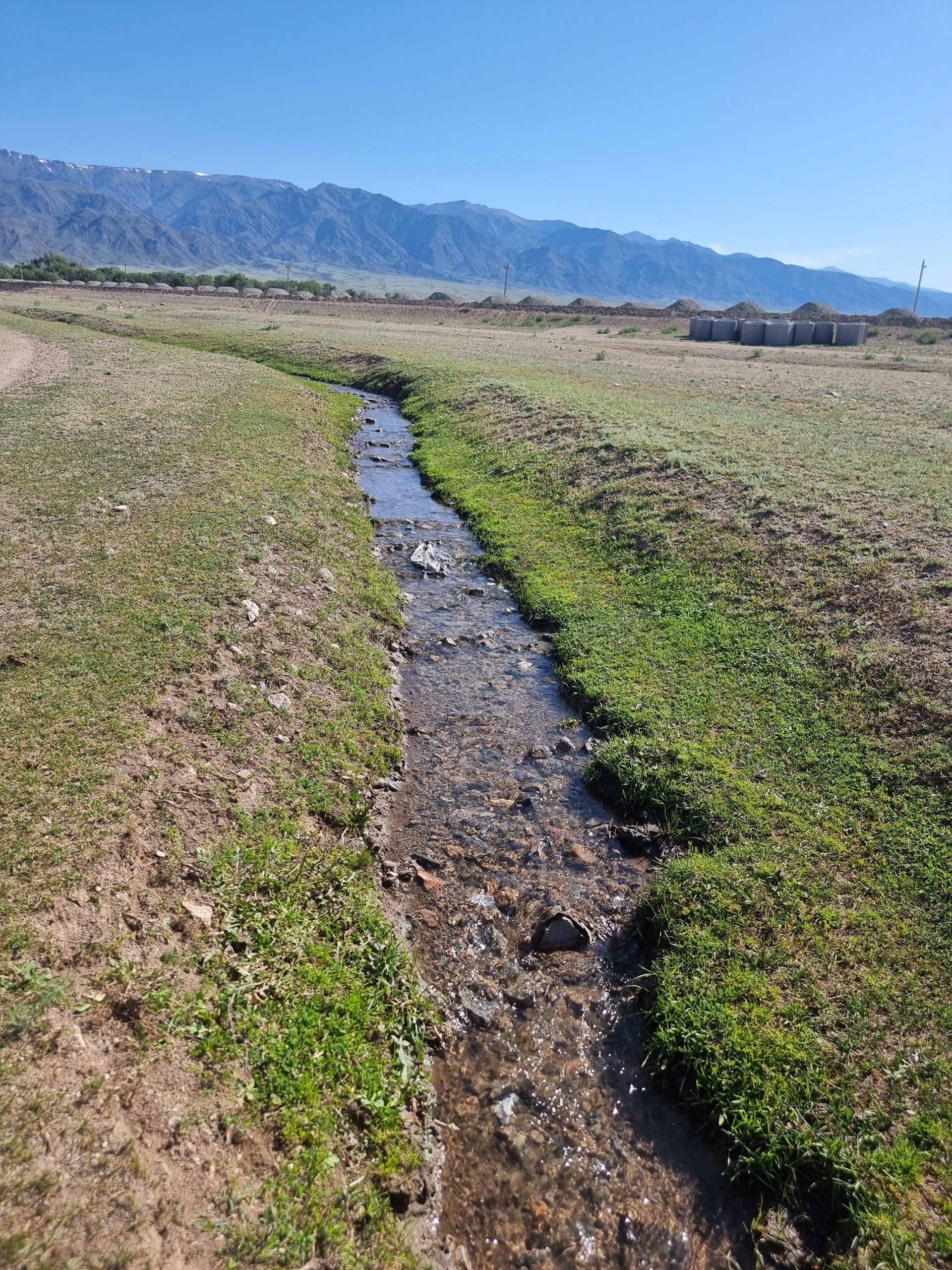 Жағажайда жалаңаш қырынған