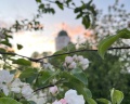 ApartmentsVyborg&Vyborghostel: отзыв от Алиена Решетникова