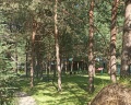 Росстань: отзыв от Ольга Рудова