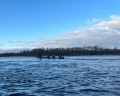 Сплавной участок: отзыв от Юлия Челогаева