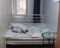 Отель на Первомайской: отзыв от Миша Ласка