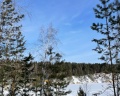 Оазис: отзыв от Ника