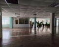 Изумрудный: отзыв от Арсений Романюх