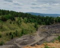 Ловчий плюс: отзыв от Оленька Слугина