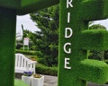 Bridge resort: отзыв от Екатерина Иванцив