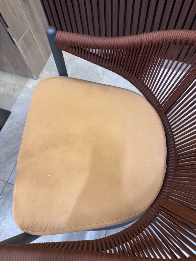 Моншада порнография тыңдалды