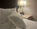 DoubleTree by Hilton Moscow-Vnukovo Airport: отзыв от Svetlana Danilenko