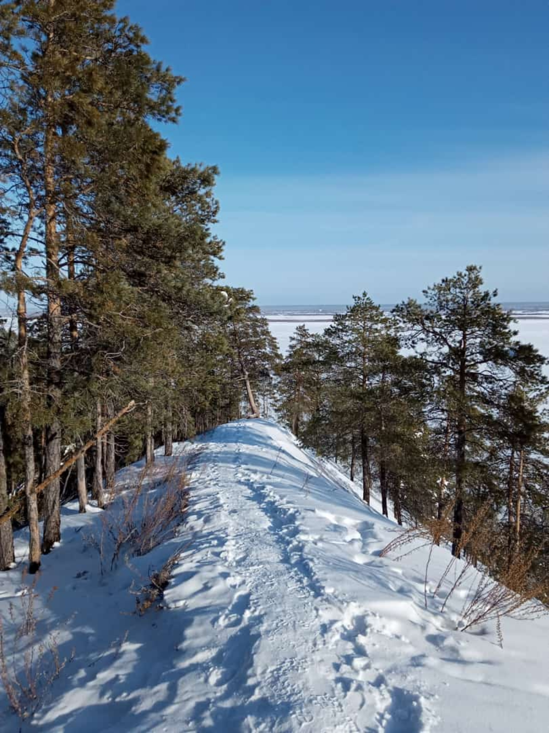 Хижина, гостевой дом, улица Дачная, 40/1, Якутск — 2ГИС