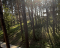 Pioneer Resort Hotel: отзыв от Марат Файзуллин