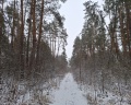 Корница: отзыв от s. r