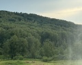 Гора u дачи: отзыв от Мария Ч