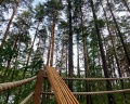 Мысли: отзыв от Anna Etman
