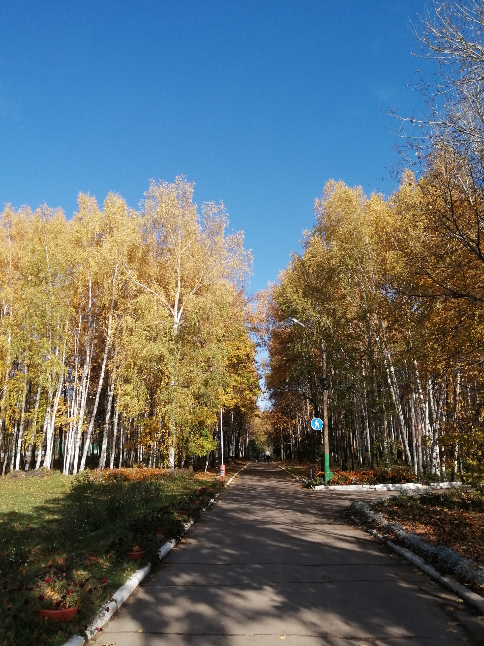 Березовая роща, санаторий, Центральная улица, 1/1, пос. Березовая Роща —  2ГИС