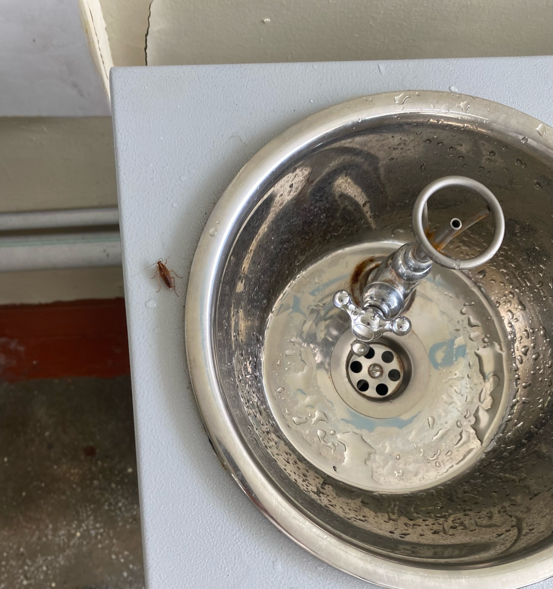 Трусики жоқ жалаңаш әйелдер