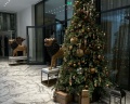 Luciano Hotel&SPA Sochi: отзыв от Tattoo.Gem.Sochi Студия тату и пирсинга
