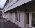 Сосновый бор: отзыв от Александр Алексеев