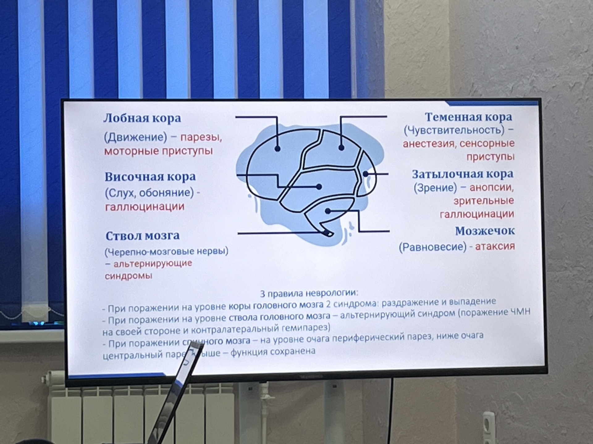 ТМС Нейромаг, медицинский центр речевой неврологии, нейропсихологии и  нейрореабилитации, Крупской, 10, Самара — 2ГИС