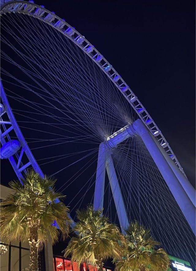 Ain Dubai Observation Wheel - Propsearch.ae