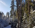Vyritsa Village: отзыв от Виктория Пищикова