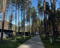 Pinewood resort&SPA: отзыв от Алина Шаповалова